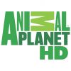 Animal Planet HD - CZE, ENG - přírodovědný